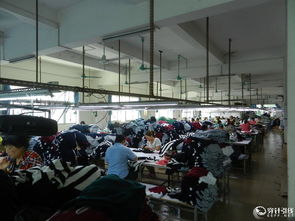 二十年深耕針織毛衣，200人實力工廠鑄就外貿品質標桿