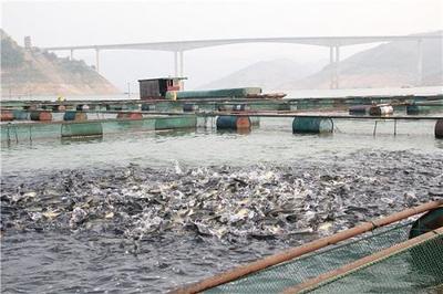 水產養殖相關法律規定概述