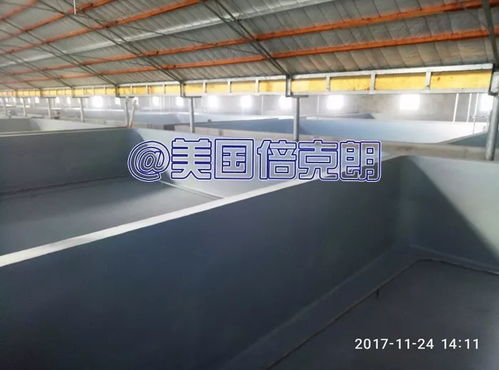 美國倍克朗攜手金盛水產共建水產養殖漆示范基地，引領行業綠色發展