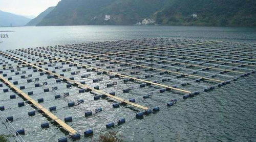 智慧漁業(yè)水產(chǎn)養(yǎng)殖模式的有效措施與實施路徑