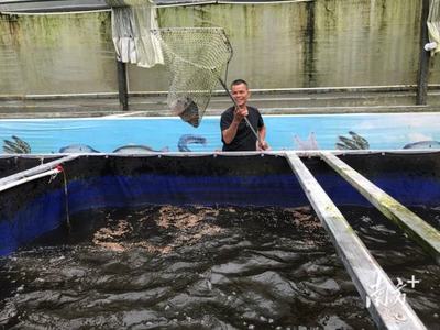 援藏新篇章 佛山助力墨脫水產(chǎn)養(yǎng)殖試點(diǎn)項目喜獲成功