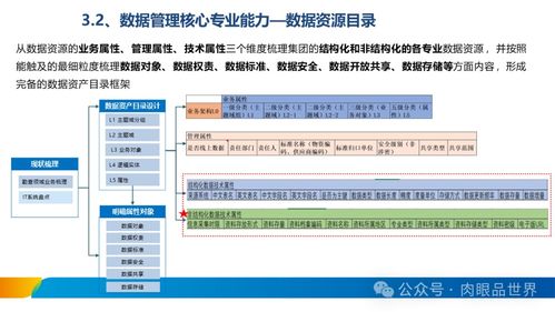 XX集團數據治理體系建設方案與數據處理服務規劃